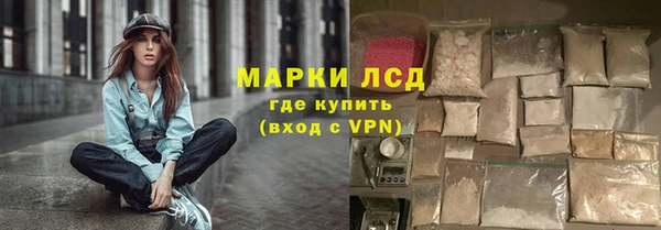 метадон Богданович
