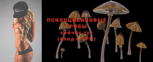 трава Беломорск