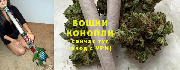 метадон Богданович