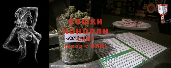 метадон Богданович