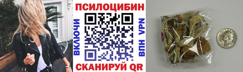 Галлюциногенные грибы прущие грибы  где купить наркотик  Кочубеевское 